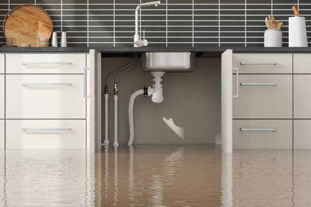 Best Carpet water damage restoration  in Versailles, IN