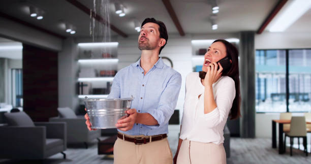 Best Professional water damage repair  in Versailles, IN